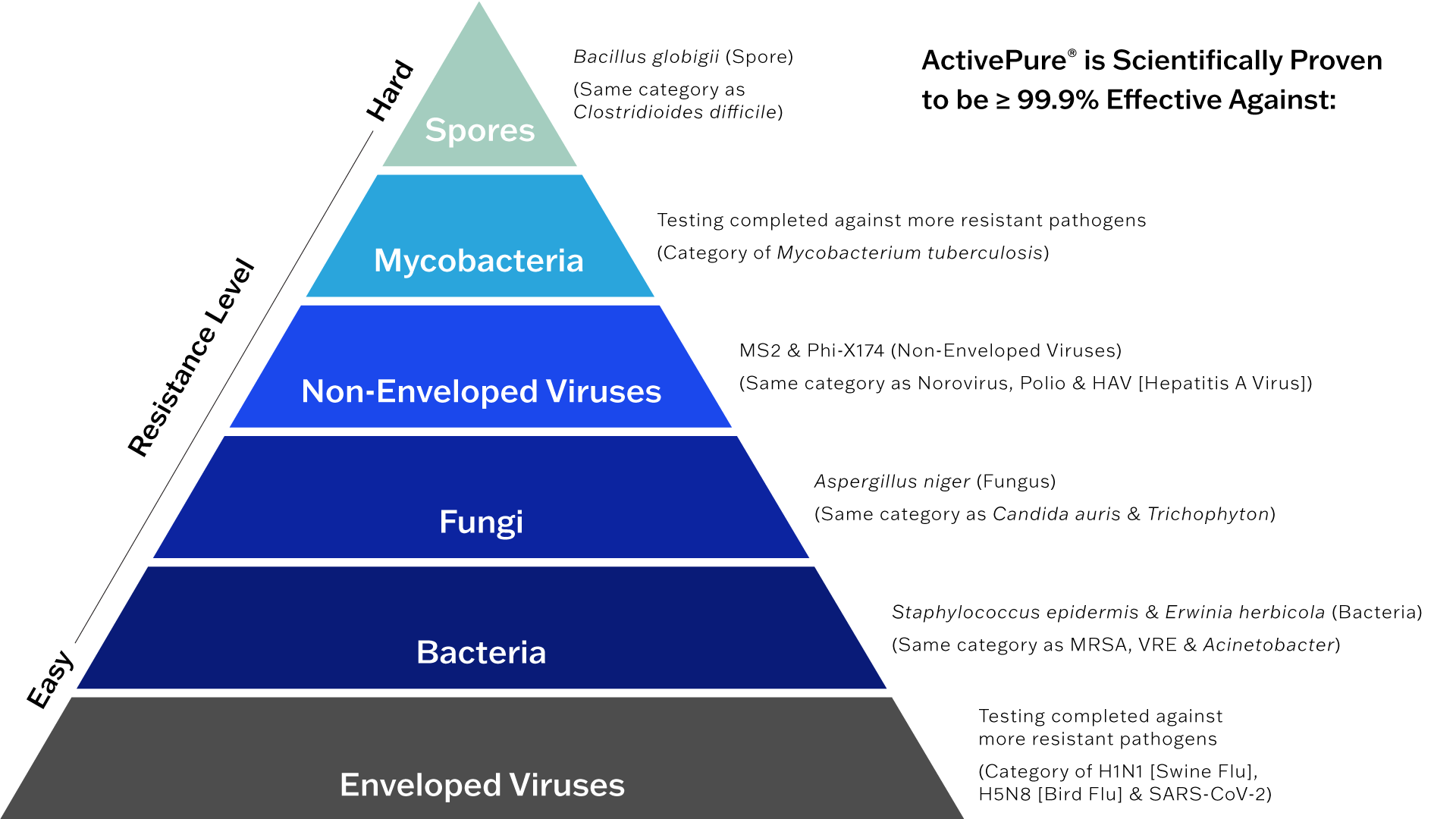 Hierarchy of Pathogens